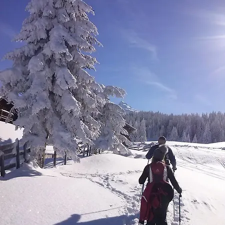 Haus Berghof 3* Gries am Brenner