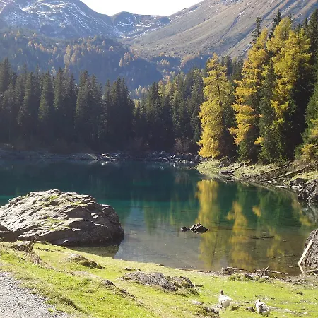Haus Berghof 3* Грис-на-Бреннере